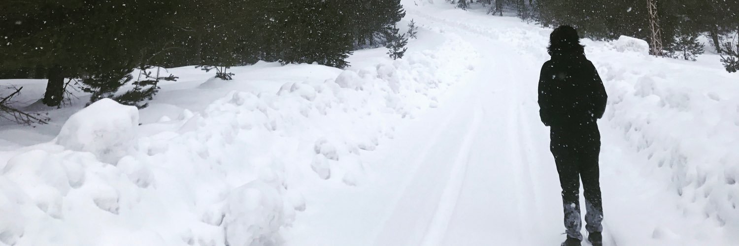 melihhaytepp's profile banner image
