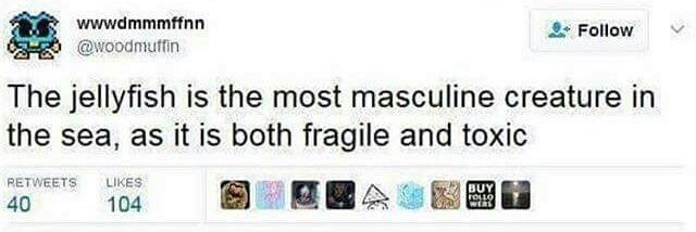 Verena Schleich banner