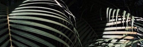 DenisseMonroyS's profile banner image