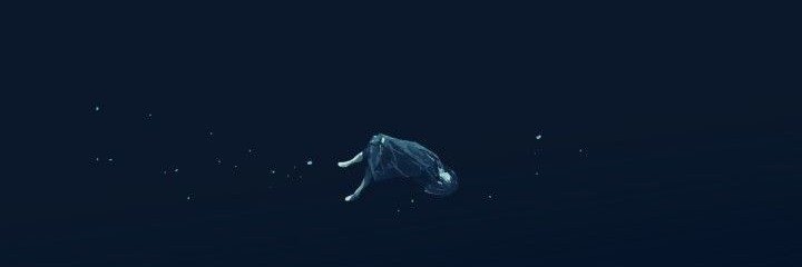 Kii1Ki's profile banner image