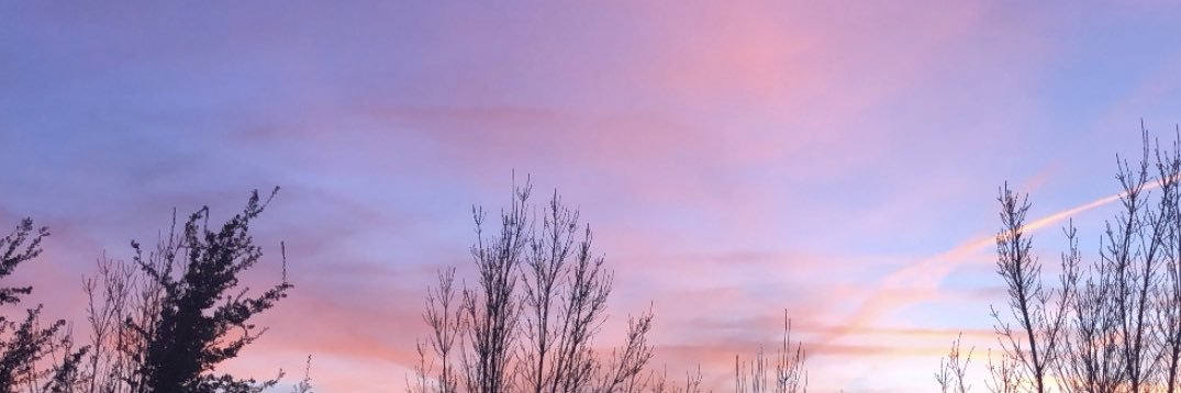replimes's profile banner image