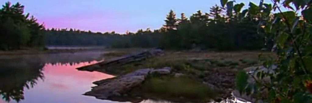 Cookie_Marla's profile banner image