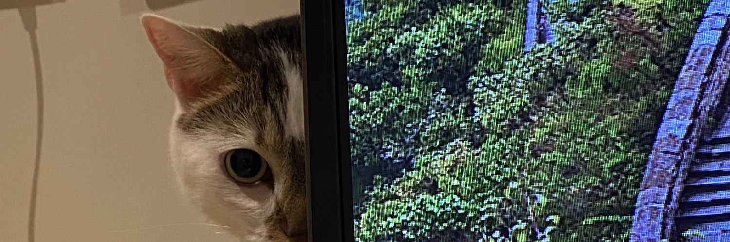 GoingShopping_'s profile banner image