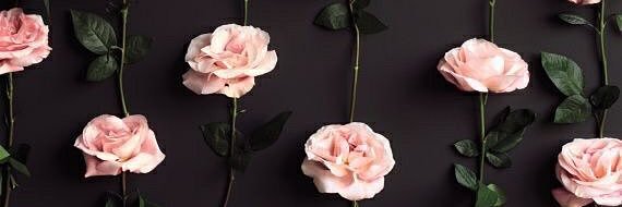 kr____xvx's profile banner image
