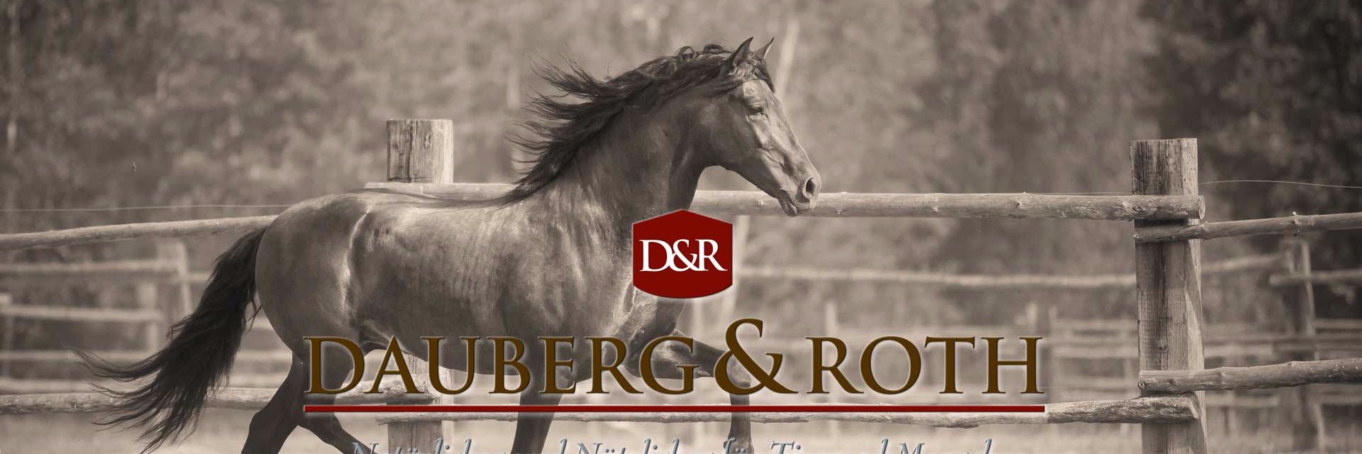 DaubergRoth's profile banner image