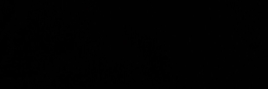 shanbrnn's profile banner image