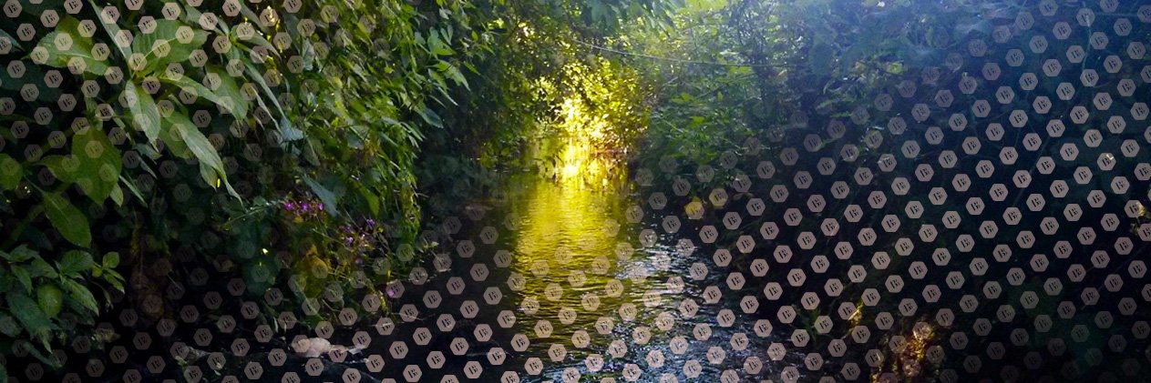 TheBottleBrook's profile banner image