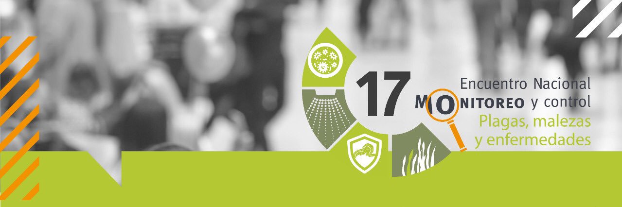 Halcón Monitoreos banner