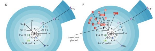 DrSimonHarris Profile Banner