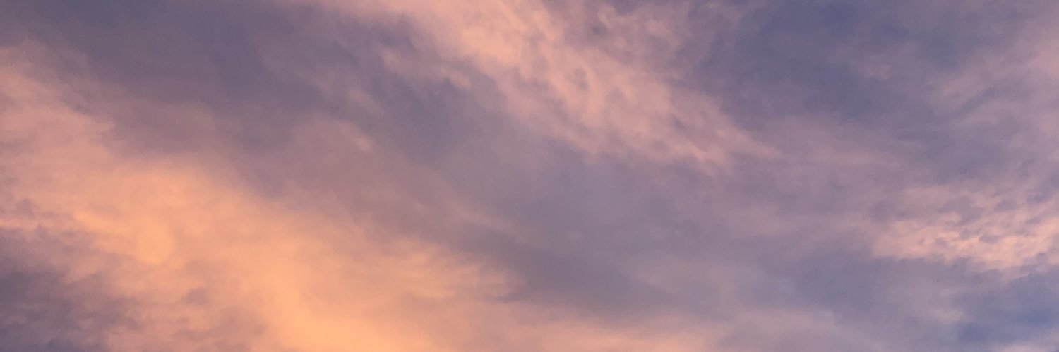 larirj28's profile banner image