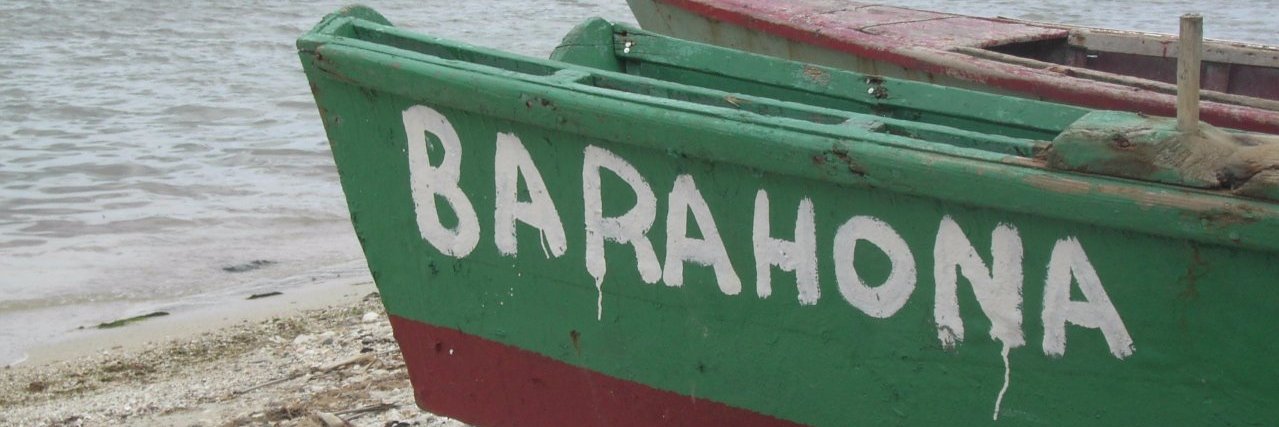 Barahoneros 💙 banner