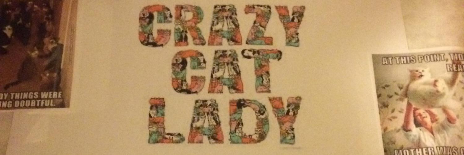 raebear04's profile banner image
