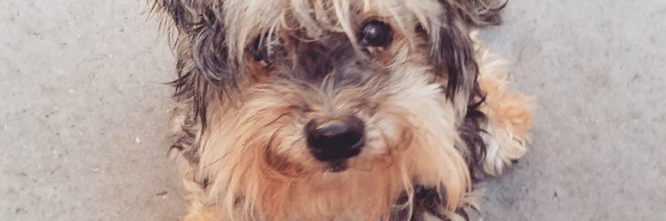 emma_bournes's profile banner image