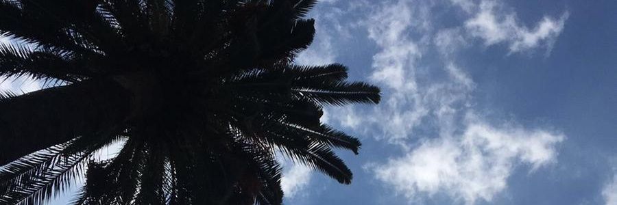 catpmags's profile banner image