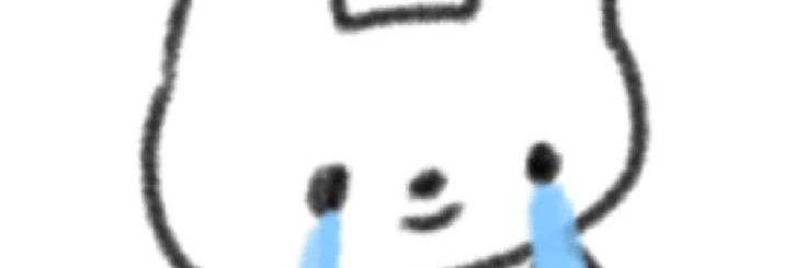 nigapiryohae's profile banner image