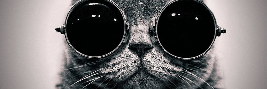 Pipo_In_Sago's profile banner image