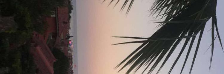 rpwithbella's profile banner image