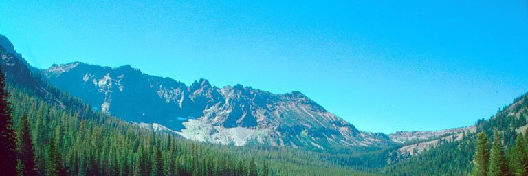 Andrew Candela banner