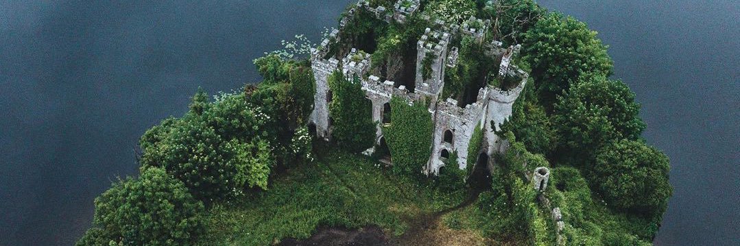happytrees604's profile banner image