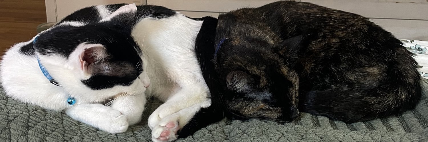 Delaney Nelson banner