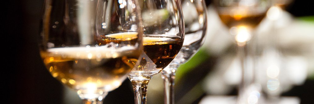 Spanish Wine Exp. banner