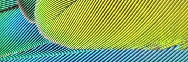 lilolike's profile banner image