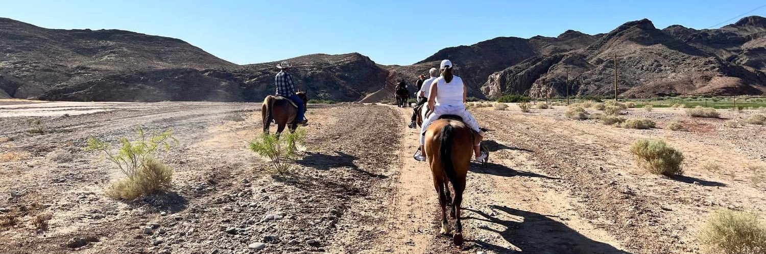 Wildwildwest1's profile banner image