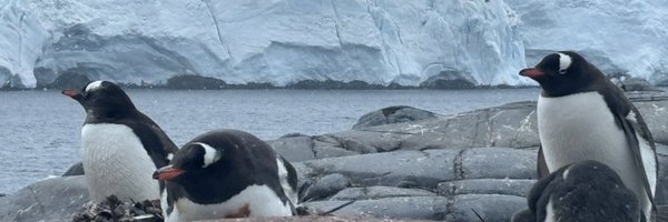 carangpre Profile Banner