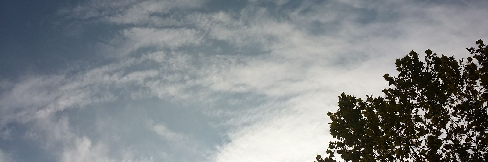 하무루 banner