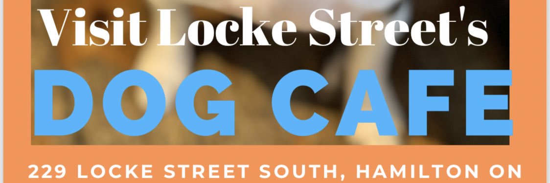 DogCafeLockeSt's profile banner image