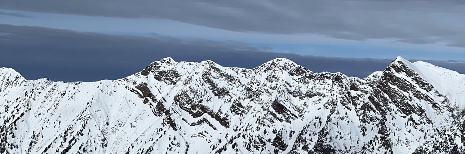 morganmcolash's profile banner image