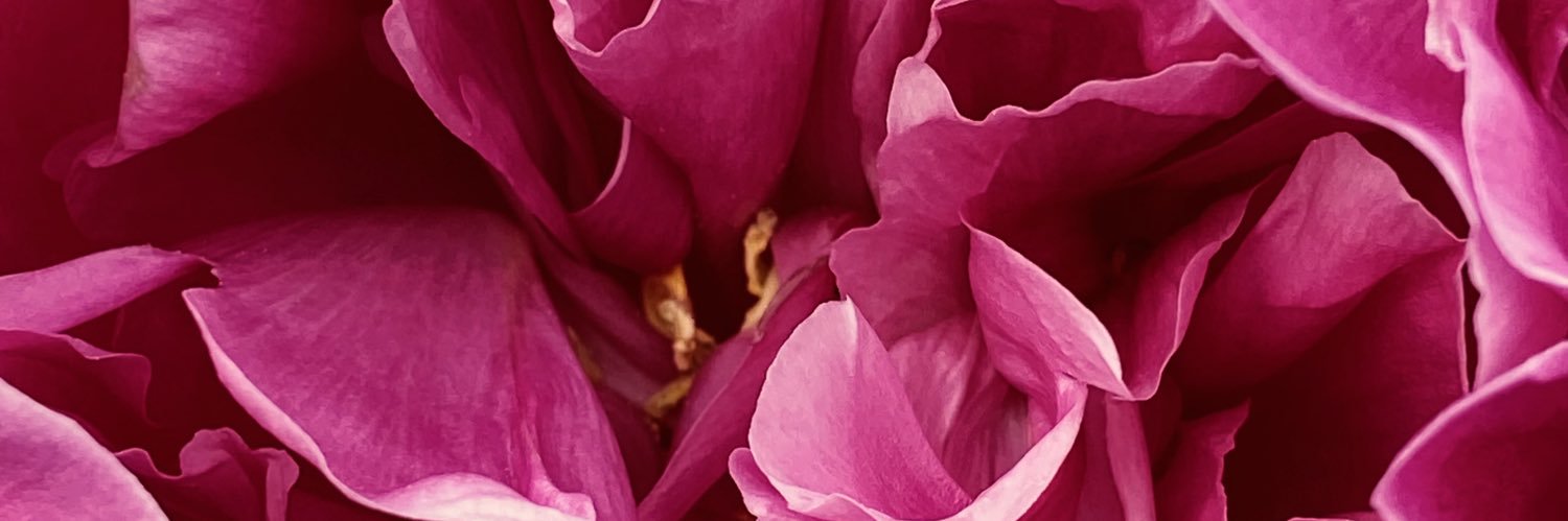 Sacelaon's profile banner image
