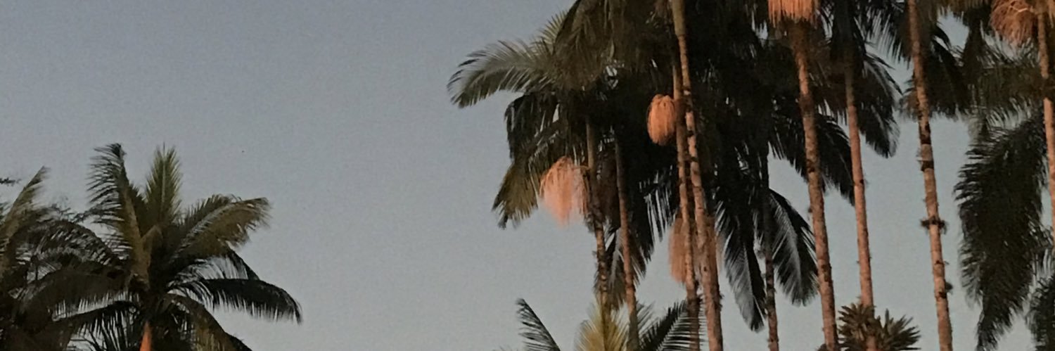ana banner