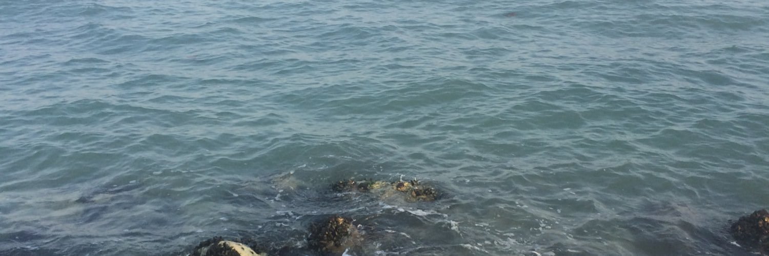 vpwrites87's profile banner image