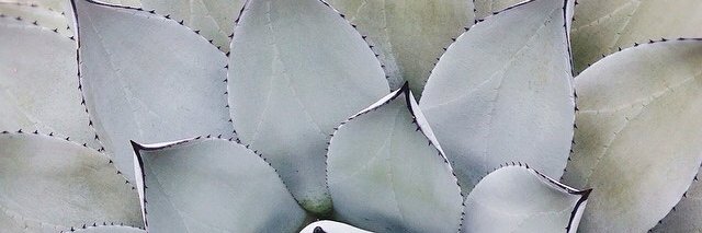 txrihvla's profile banner image