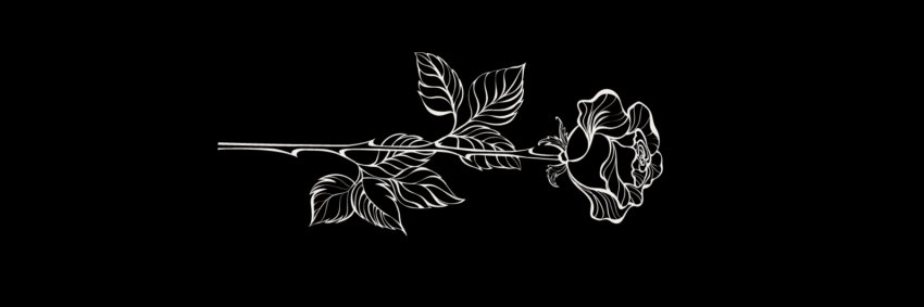 nestilloo's profile banner image
