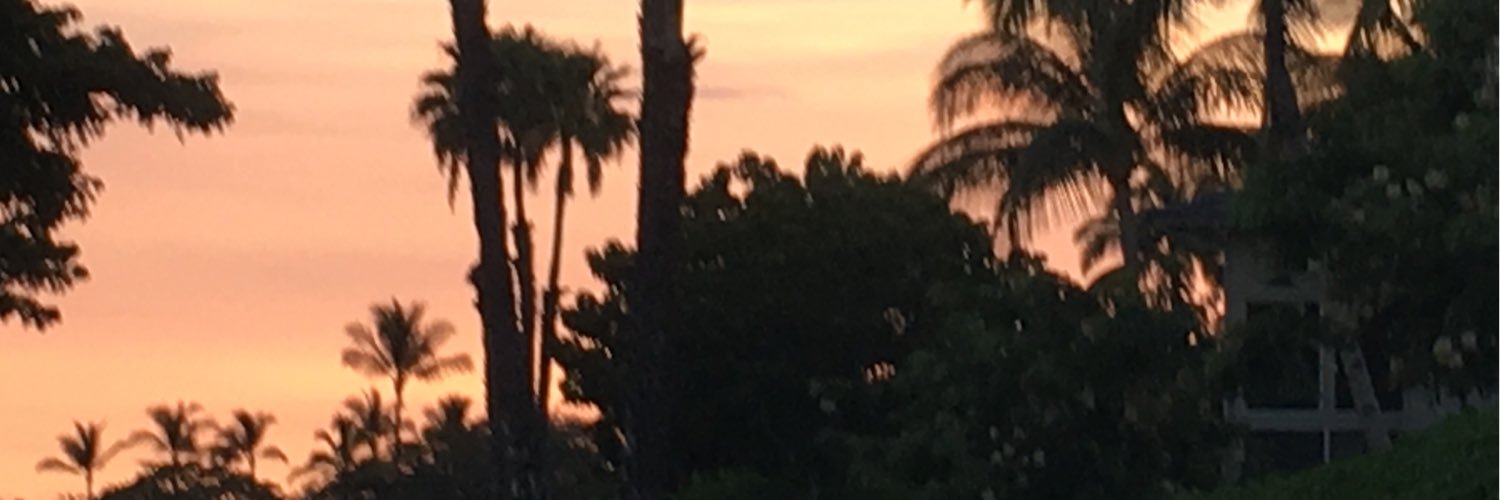 Christine Mayfield banner