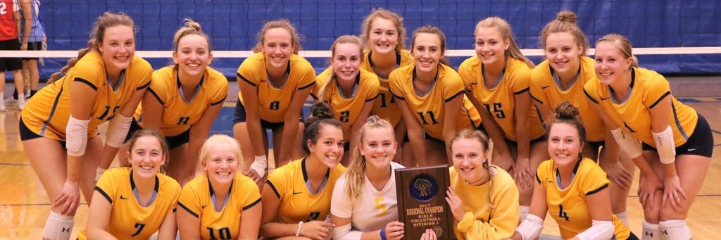 North Volleyball banner