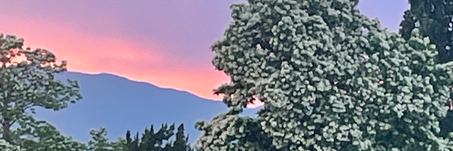 des🧛‍♀️ banner