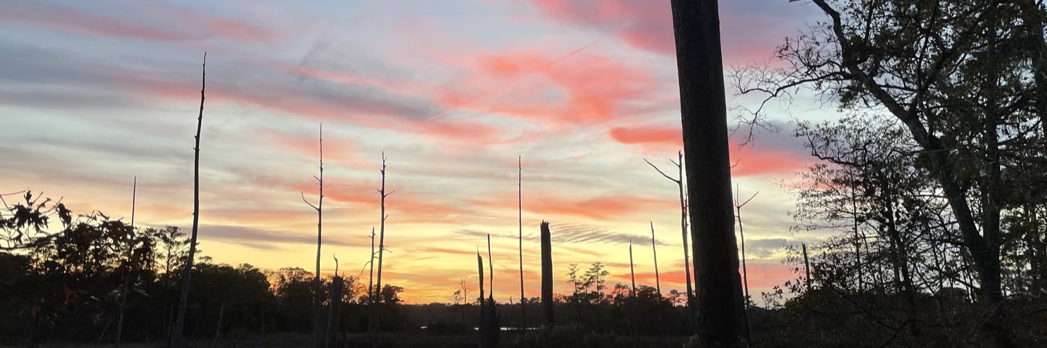 Shannon Stoner banner