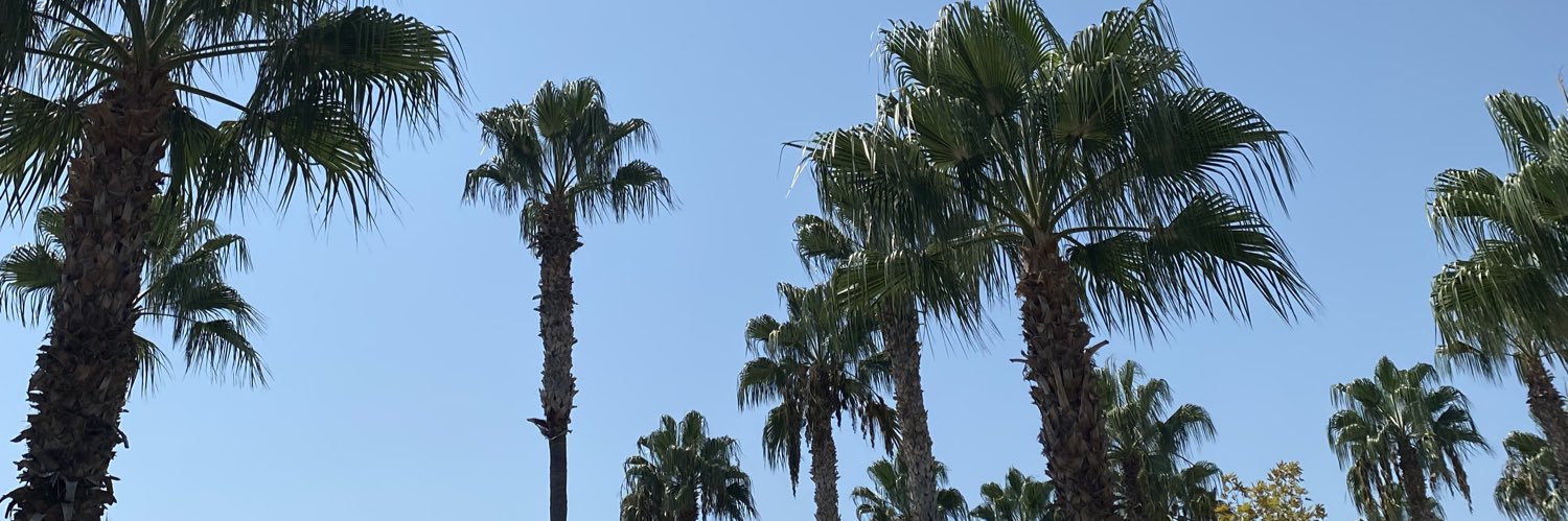 benibigrartik's profile banner image