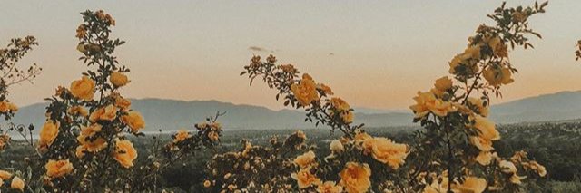 Clara ♡ banner