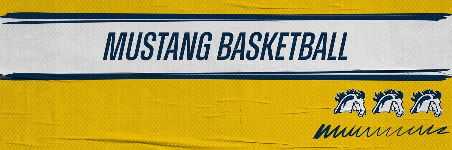 Mount Mercy Men’s Basketball banner