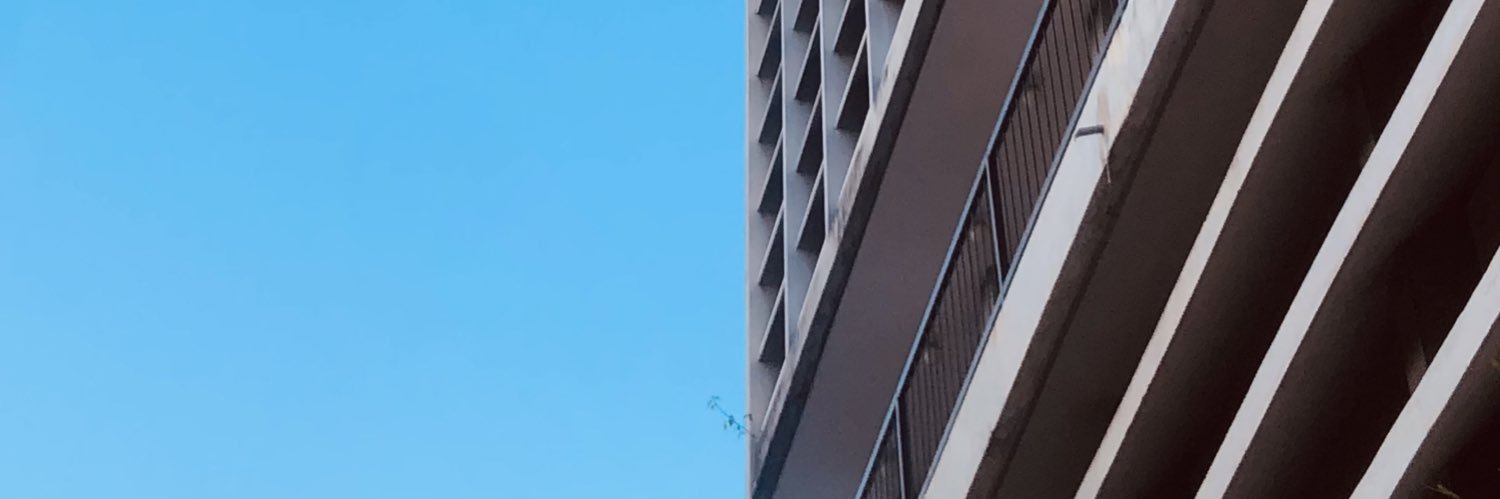 PaziBadDecisions banner