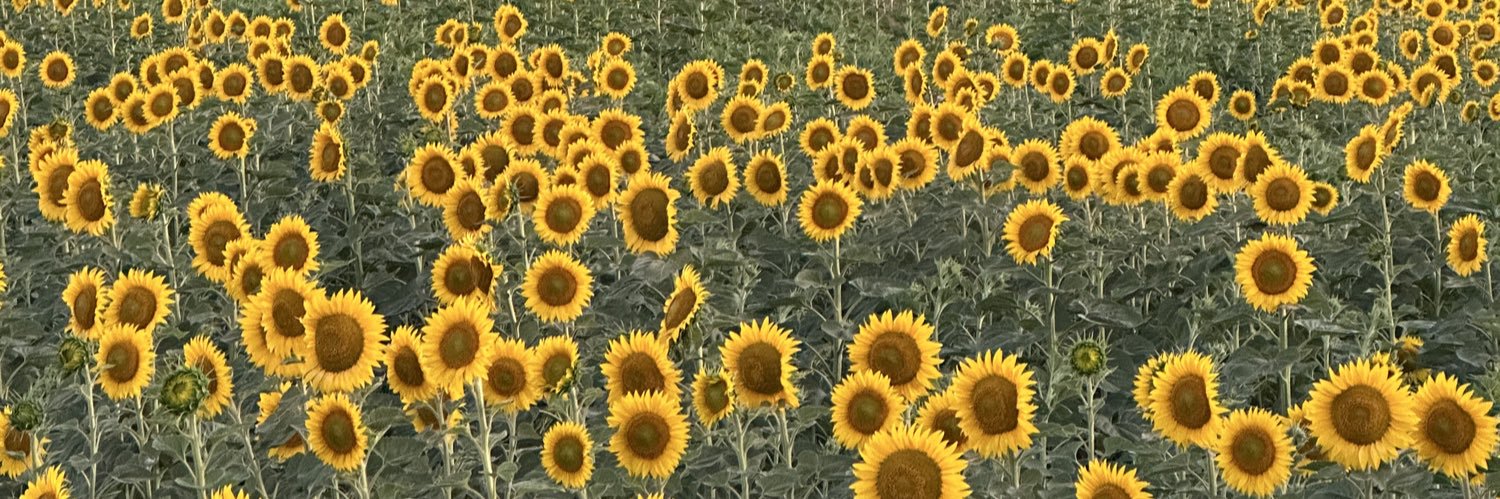 GozdeBenli's profile banner image