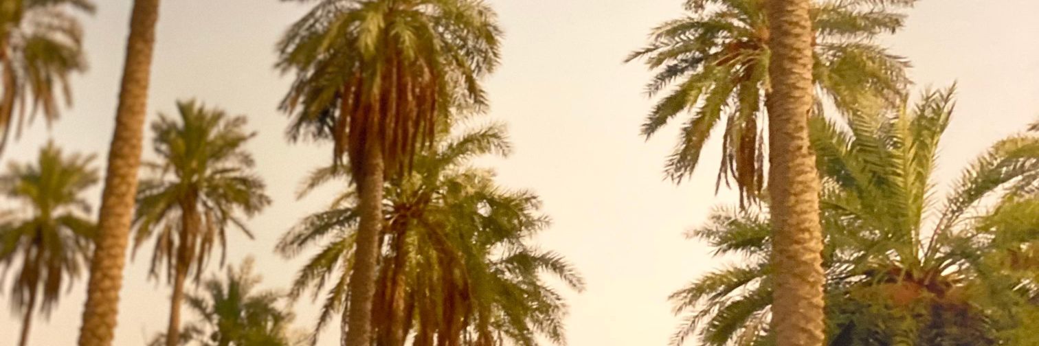 متكي بالسطح banner