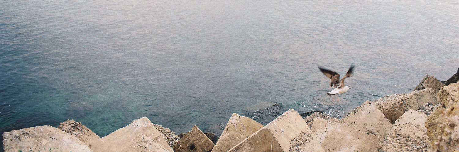 monicalopz_'s profile banner image