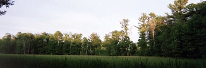 allietarry's profile banner image