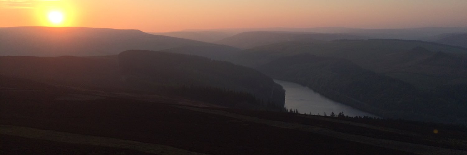gorillaintpeak's profile banner image