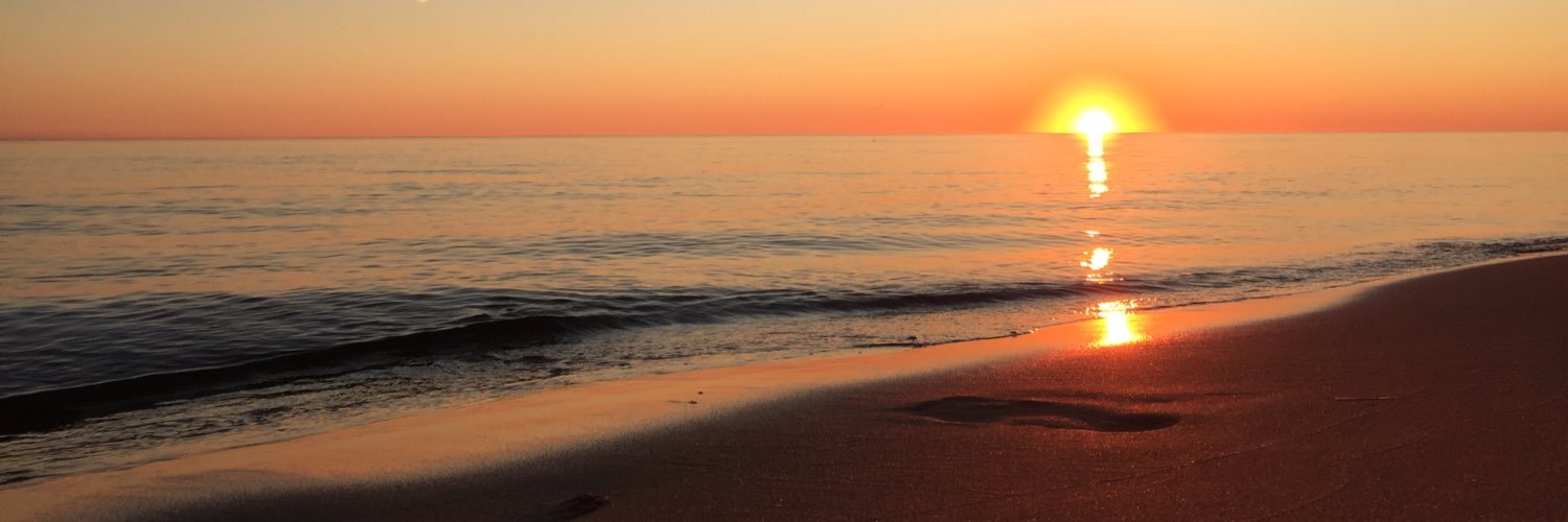 Tonya Hartmann banner